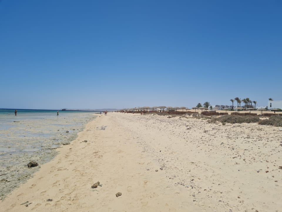 Strand Hotel Gorgonia Beach Resort