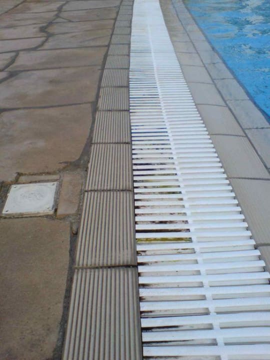 Schimmel am Pool Constantinou Bros Athena Beach Hotel