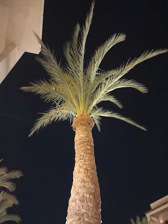 Gartenanlage Steigenberger Aqua Magic