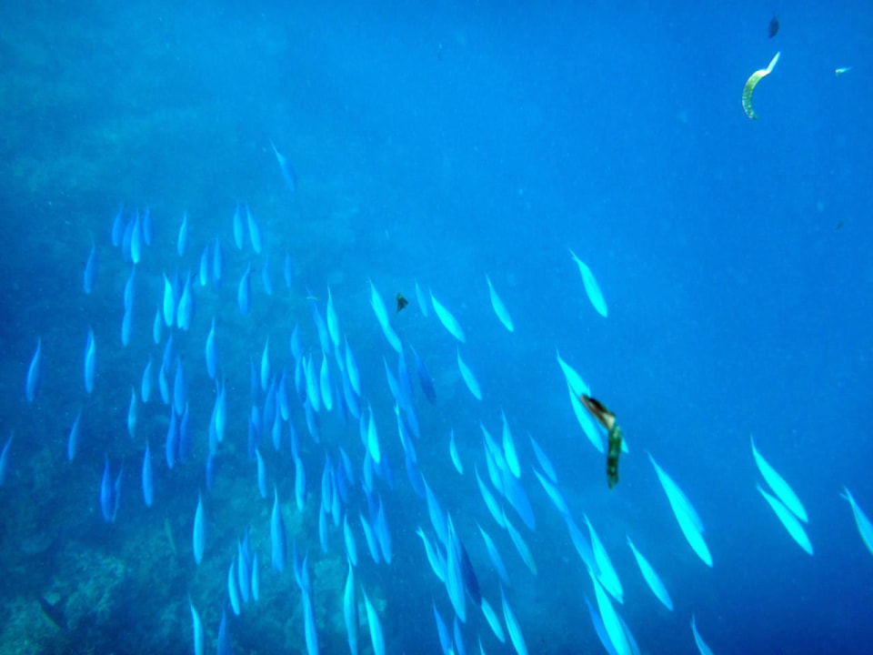 Unterwasserwelt Cinnamon Hakuraa Huraa Maldives