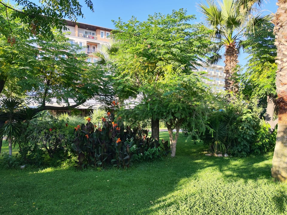 Gartenanlage Club Cactus Paradise