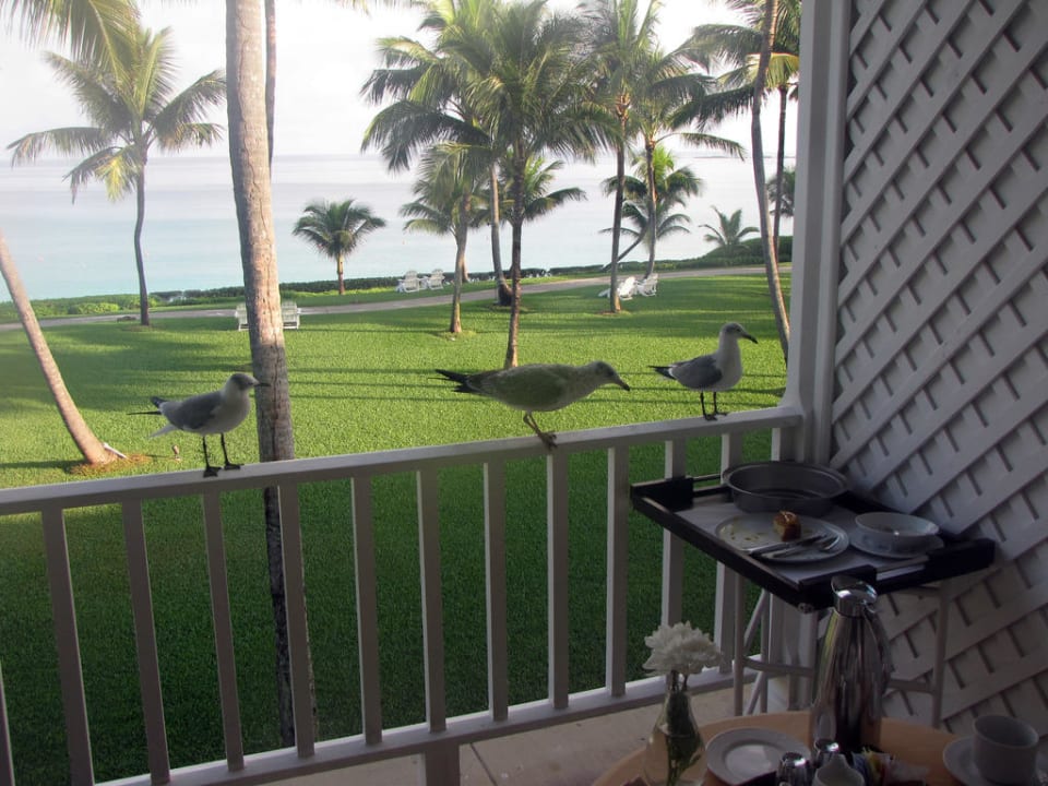 Blick vom Balkon The Ocean Club, A Four Seasons Resort