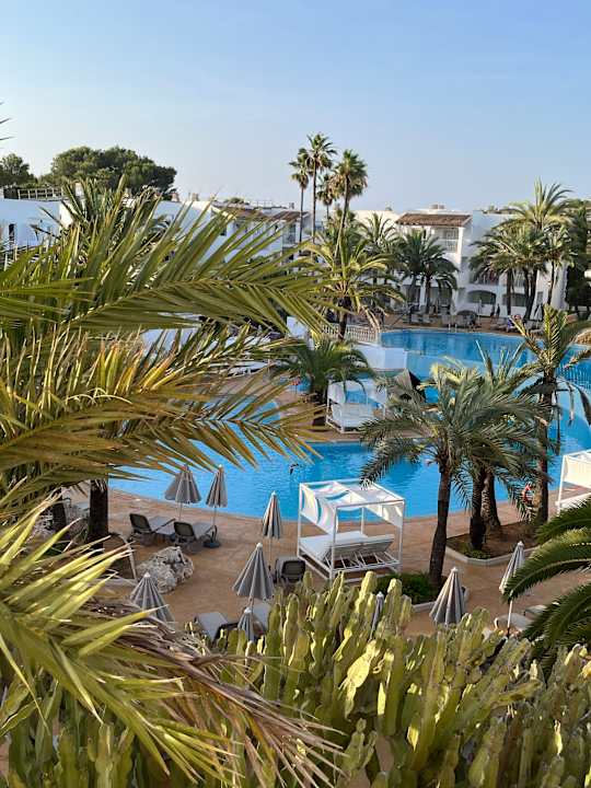 Pool Calimera Fido Gardens