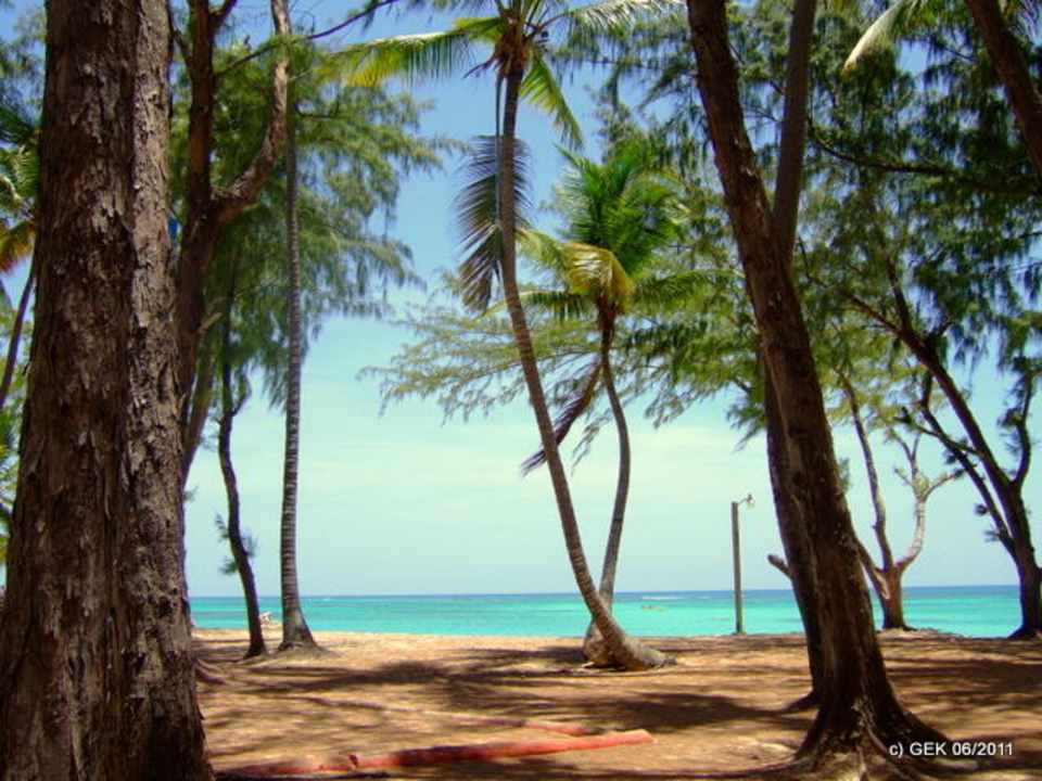 Playa Bavaro Punta Cana Princess All Suites Resort & Spa