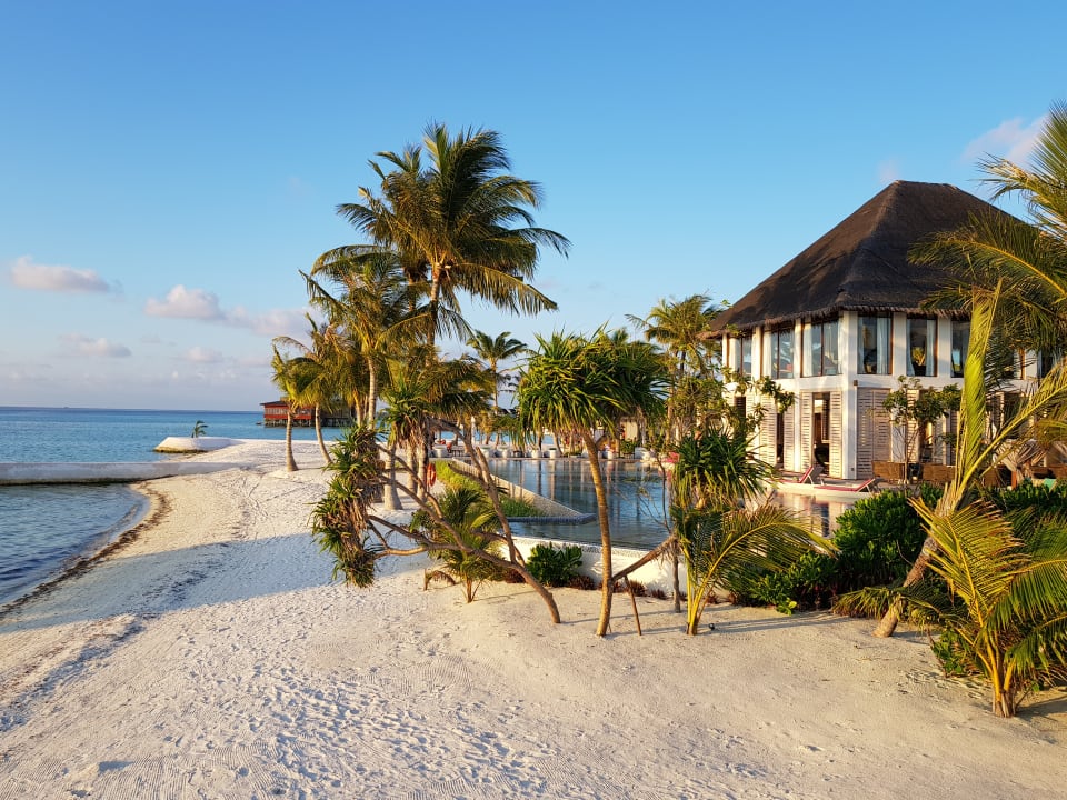 Main Bar mit Pool  OZEN LIFE MAADHOO