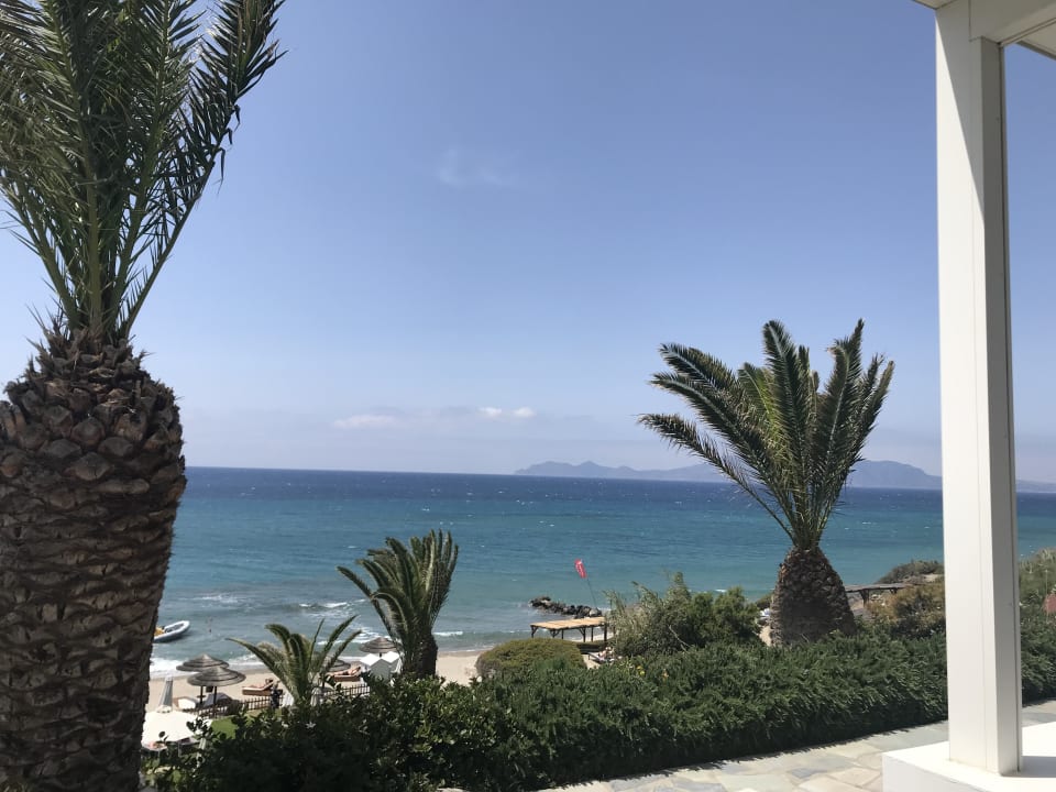Ausblick ROBINSON DAIDALOS