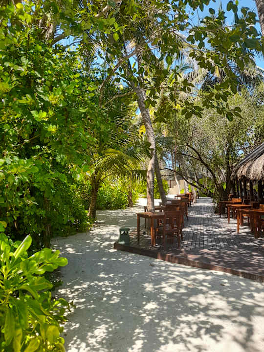 Gastro Summer Island Maldives