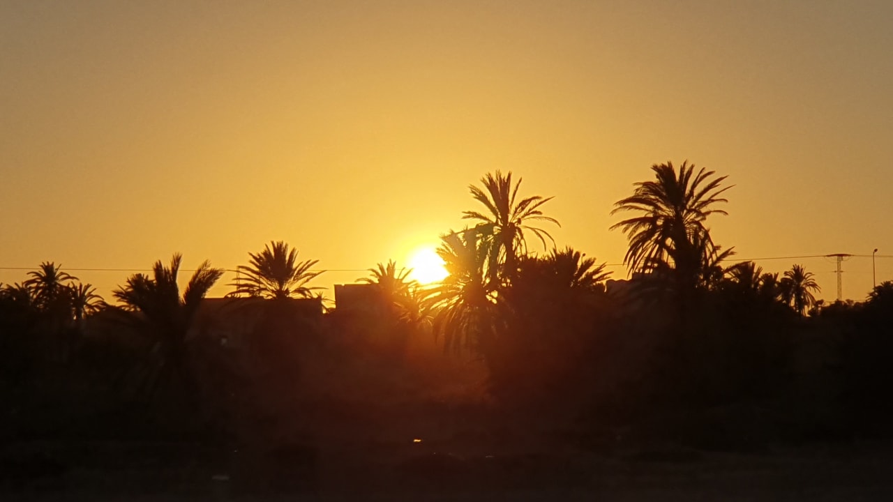 Ausblick TUI MAGIC LIFE Penelope Beach