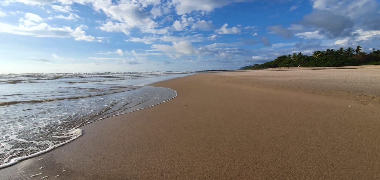 Strand Occidental Tamarindo