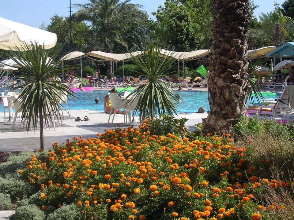 Pool mit Blütenpracht Le Jardin Resort