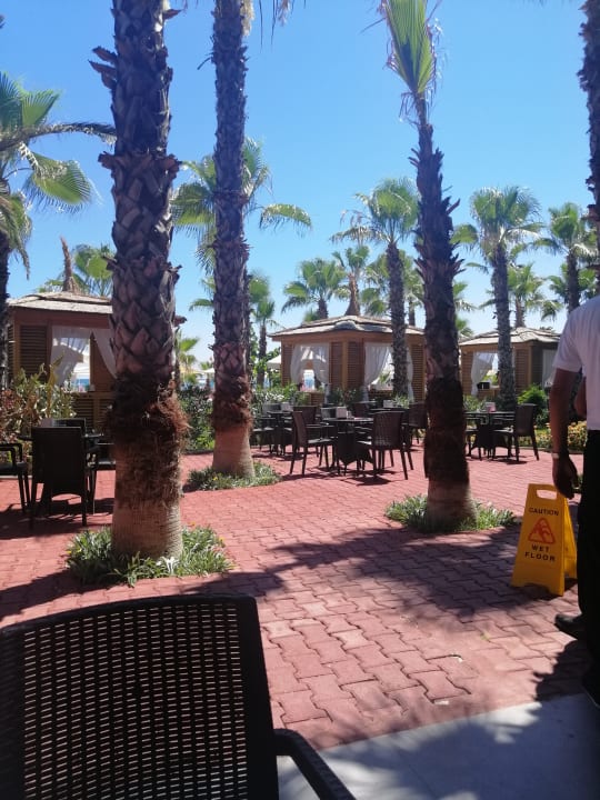 Gastro Hotel Delphin Diva