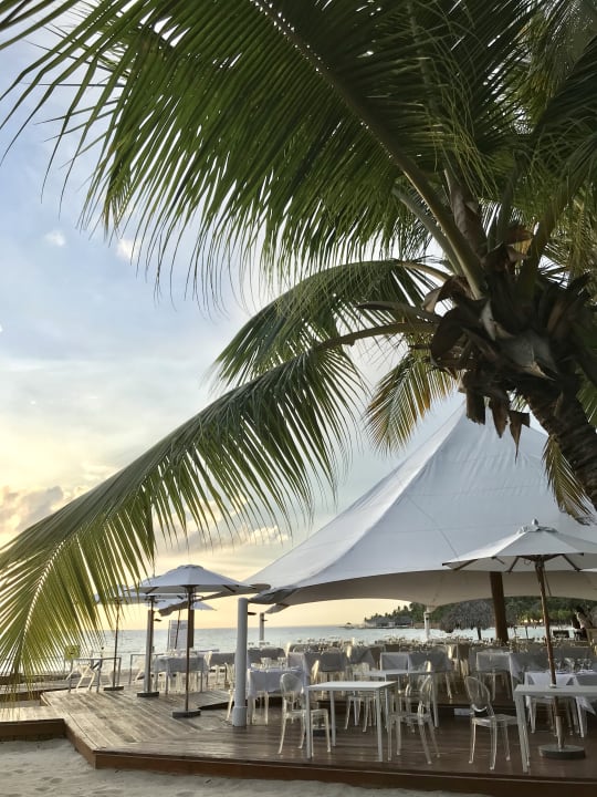 Gastro Hotel Viva Dominicus Palace by Wyndham-All Inclusive Resort