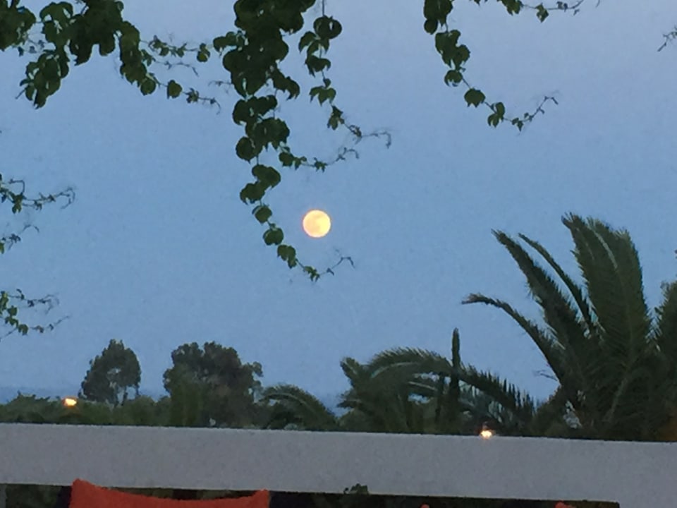 Ausblick Ekaterini Hotel