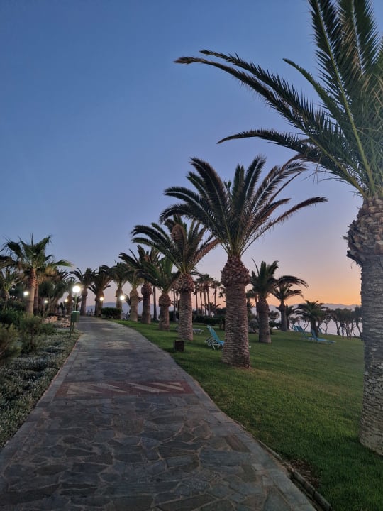Gartenanlage Iberostar Waves Creta Panorama & Mare