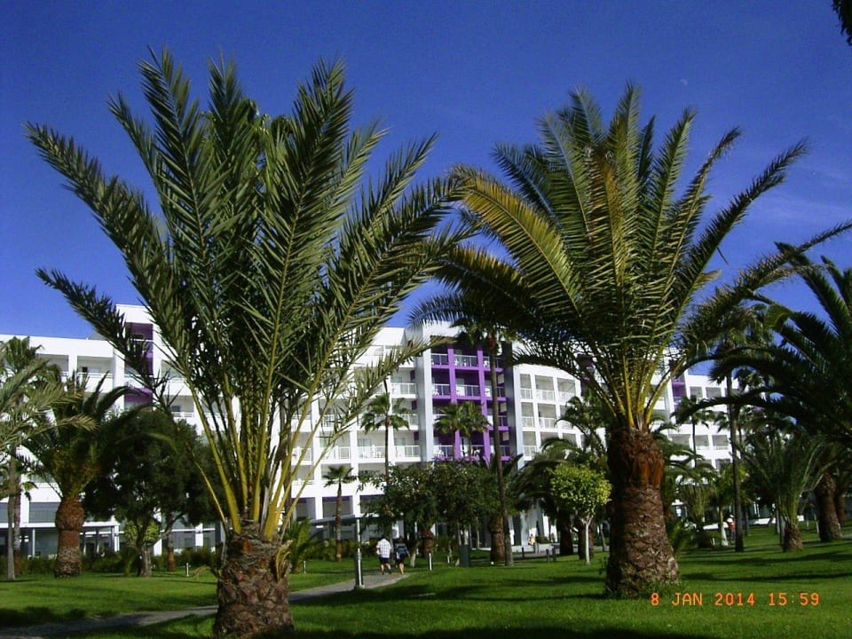 Blick zum Haupthaus Hotel Riu Gran Canaria