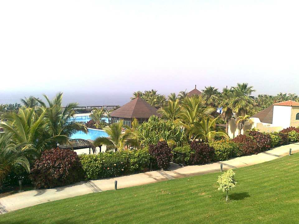 Blaue Farbtupfer im schönen Garten La Palma Princess