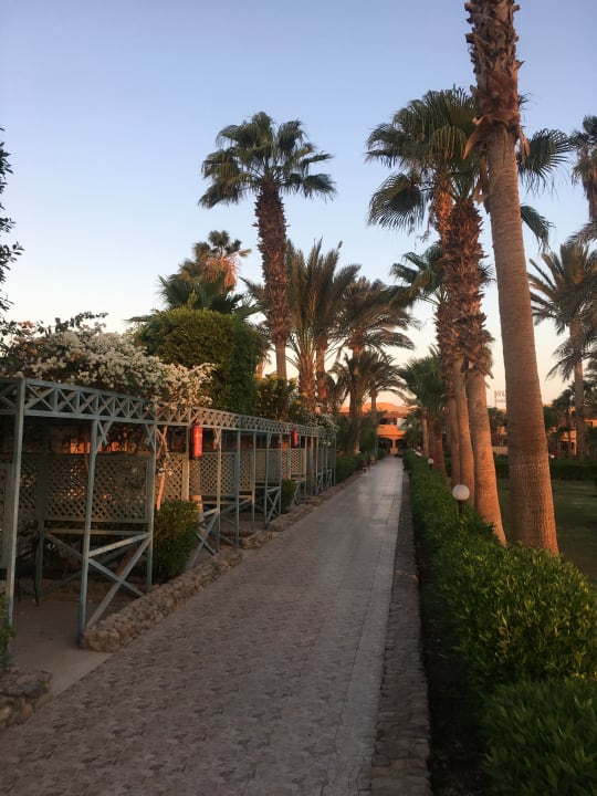 Sonstiges Giftun Azur Resort