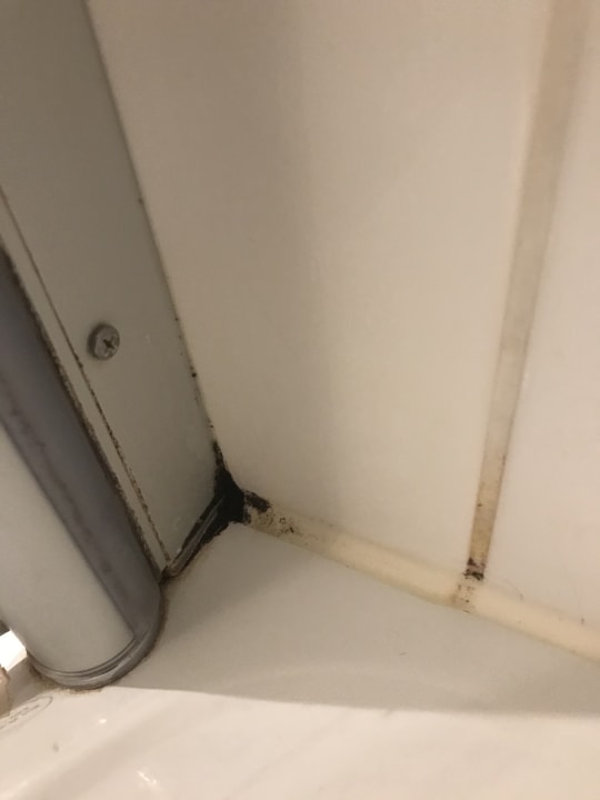 Zimmer Golden Tulip Bielefeld City