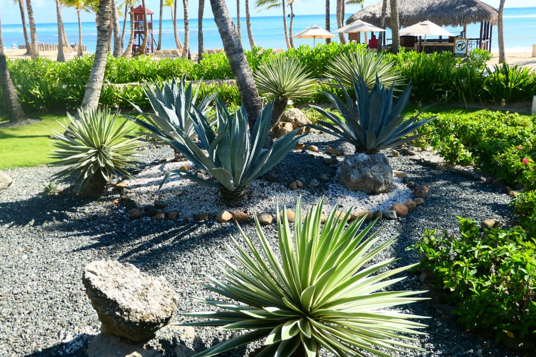 Gartenanlage Wyndham Alltra Punta Cana