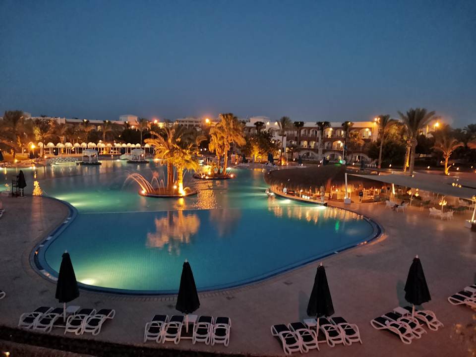 Ausblick Desert Rose