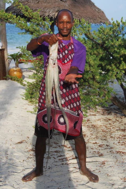 Frischer gehts nicht! Makuti Beach Bungalows