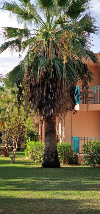 Gartenanlage VONRESORT Golden Beach