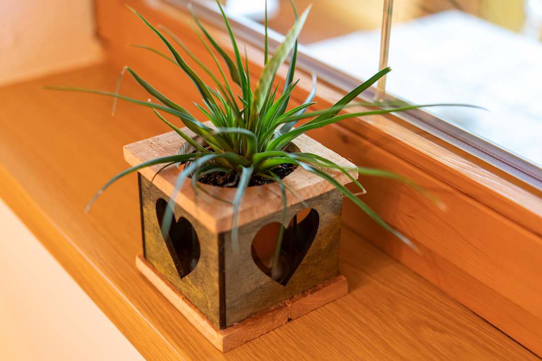 Zimmer Landhaus Seiringer Apartments