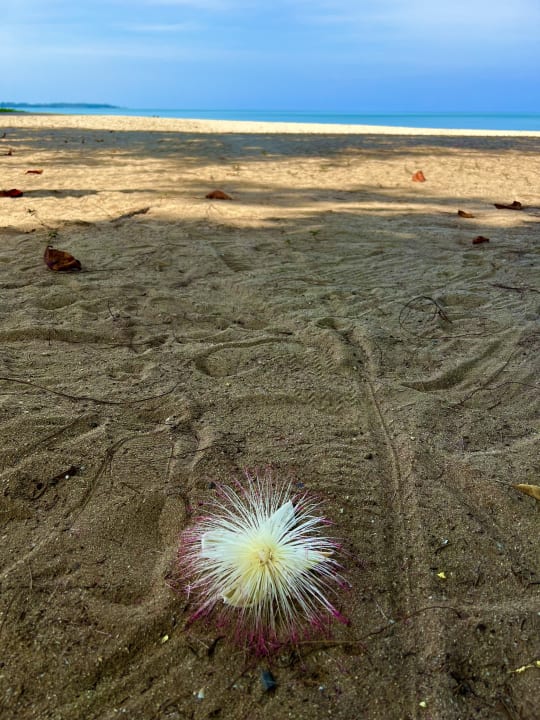 Strand Bangsak Village