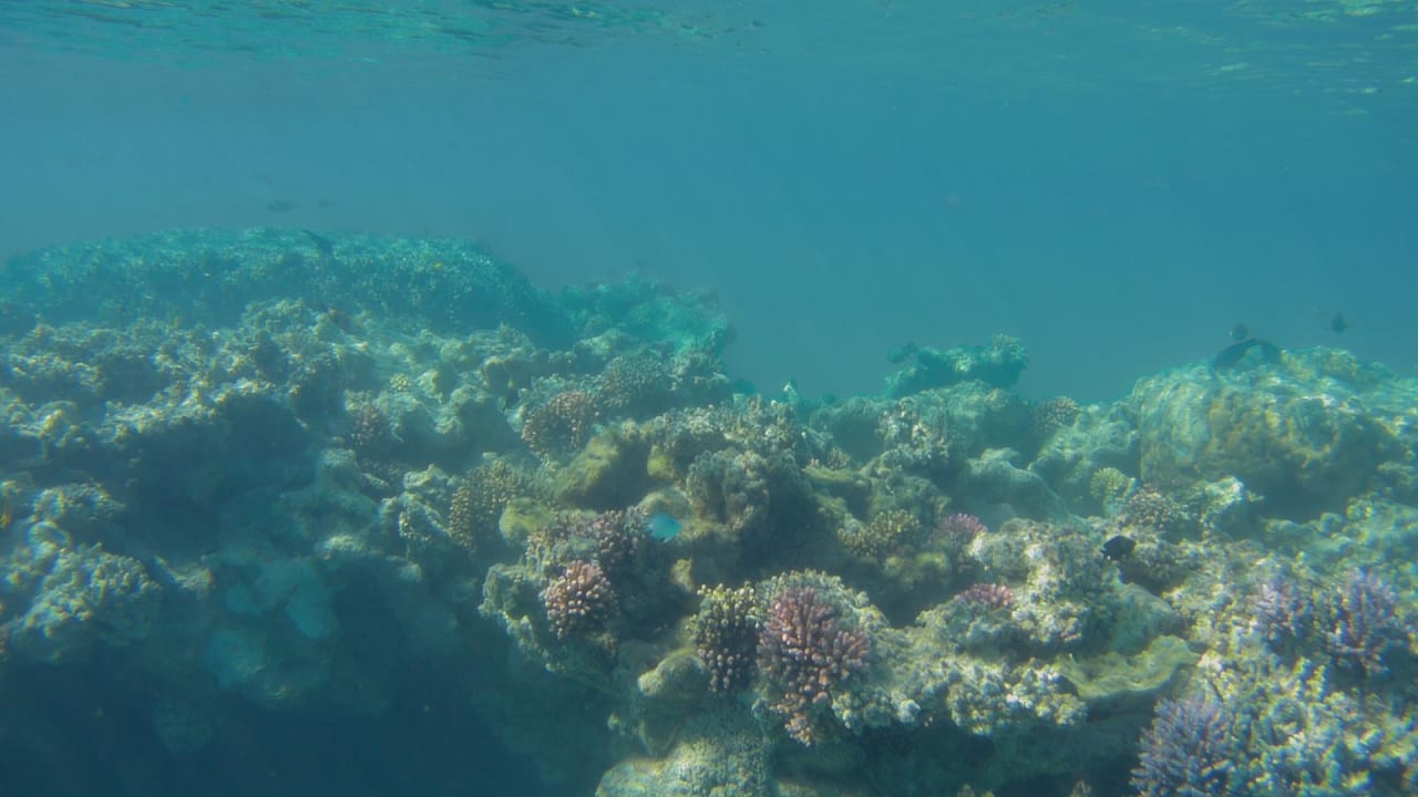 Sport & Freizeit Hotel Gorgonia Beach Resort