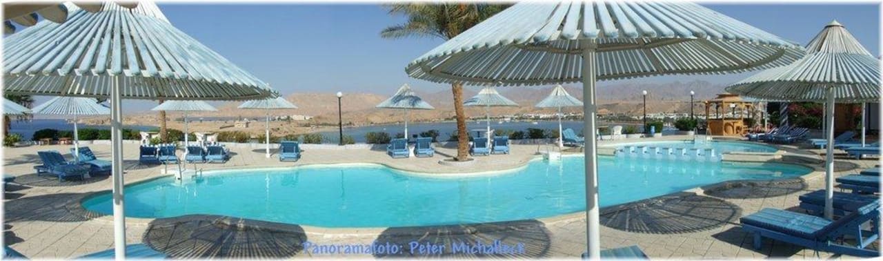 Pool am Meer Albatros Sharm Resort