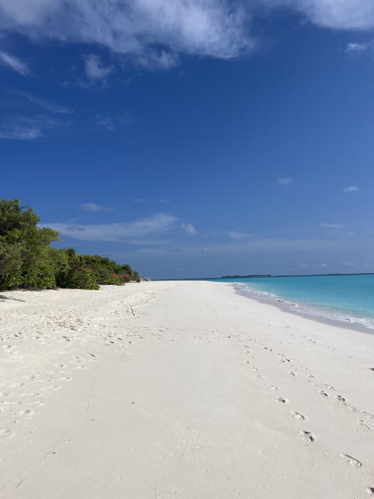 Strand Hondaafushi Island Resort