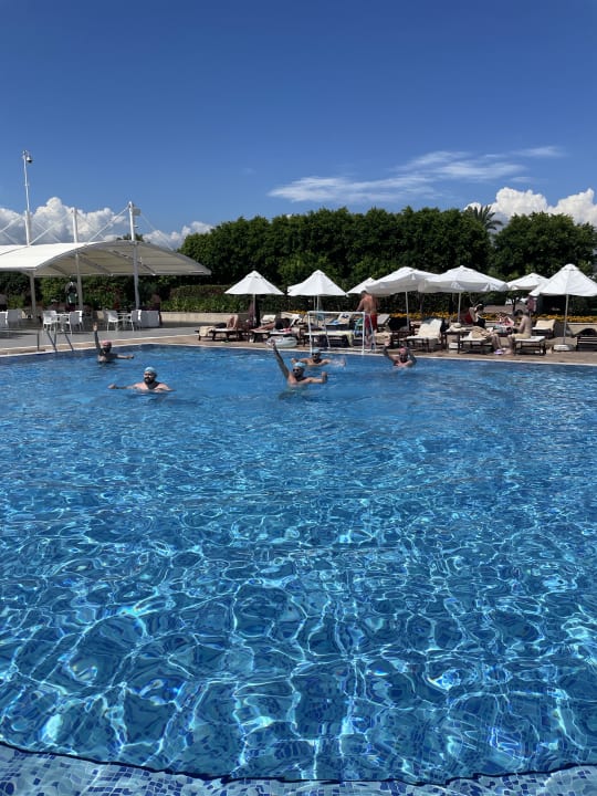 Pool Gold Island Selected