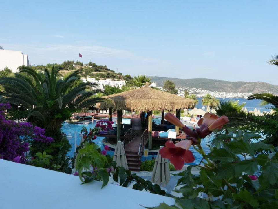 Poolanlage Salmakis Resort & Spa