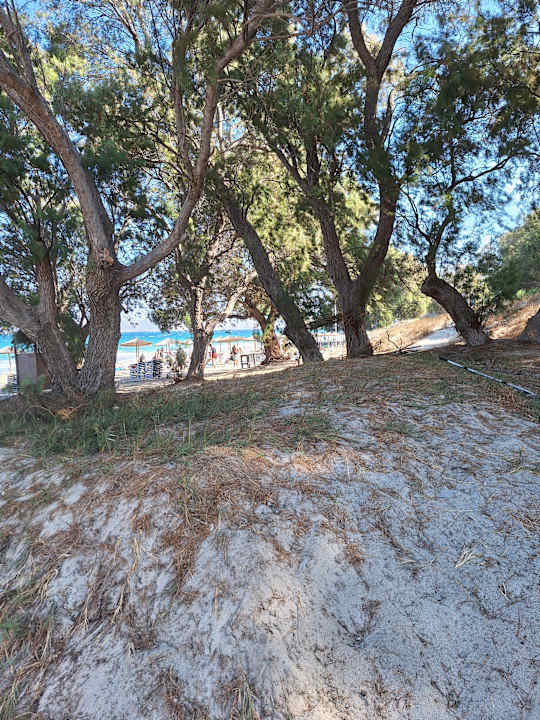 Strand Hotel Akti Coast Club Marmari Kos