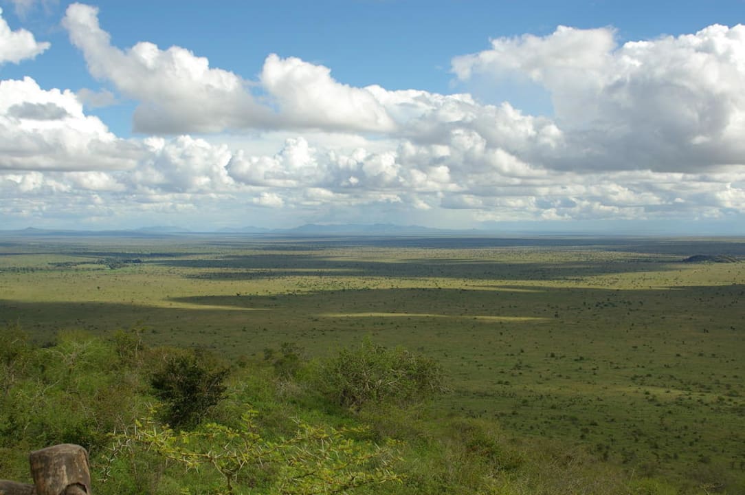 Lion Rock Lodge Ausblick Hotel Lion Rock Safari Camp