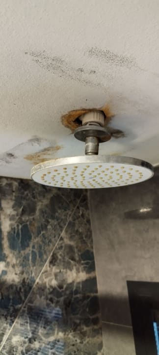 Zimmer Signature Blue Resort