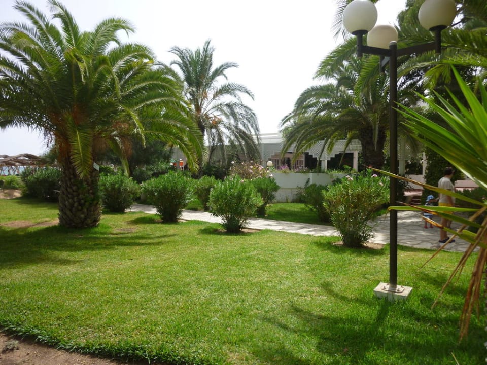 Gartenanlage mit Blick auf Poolbar The Orangers Beach Resort and Bungalows