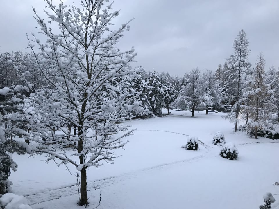 Zimmer Genussdorf Gmachl - Hotel & Spa