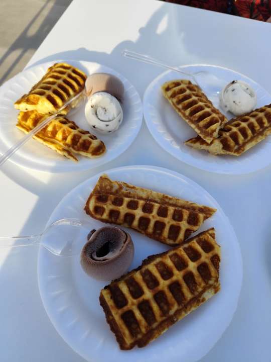 Gastro VOX MARIS RESORT