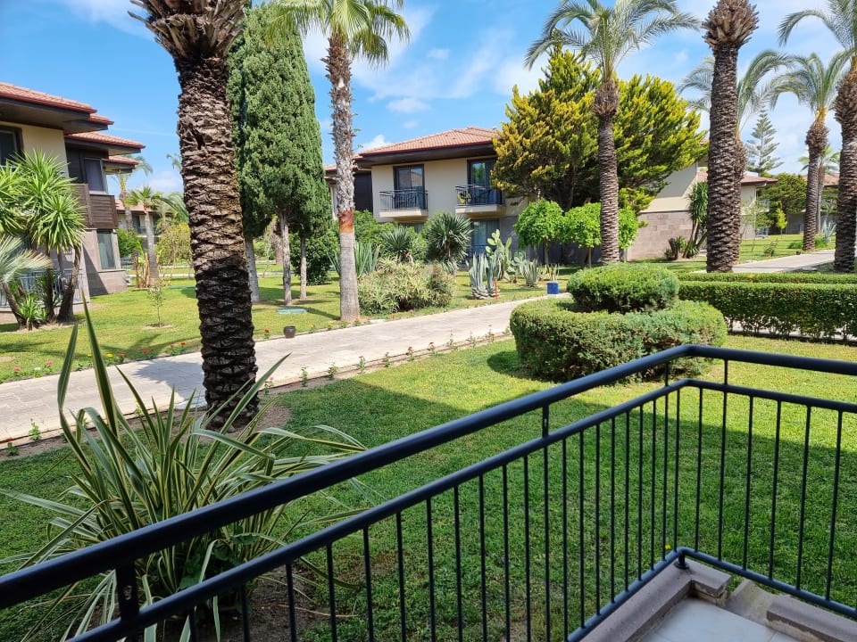 Ausblick TUI BLUE Palm Garden
