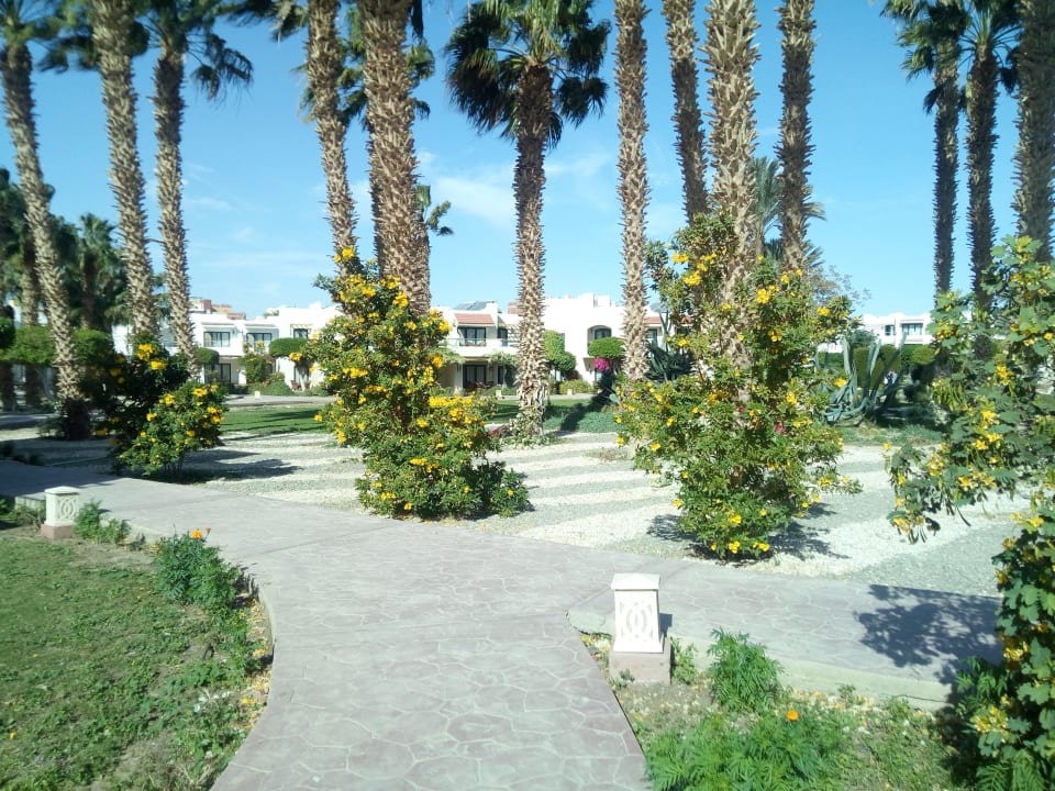 Gartenanlage Lotus Bay Beach Resort