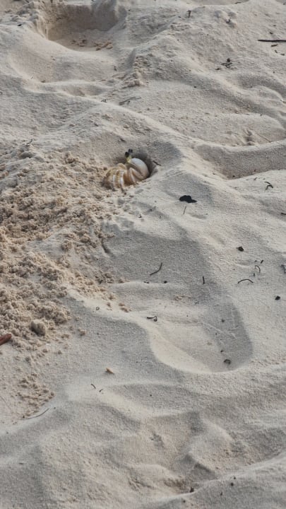 Strand Punta Cana Princess All Suites Resort & Spa