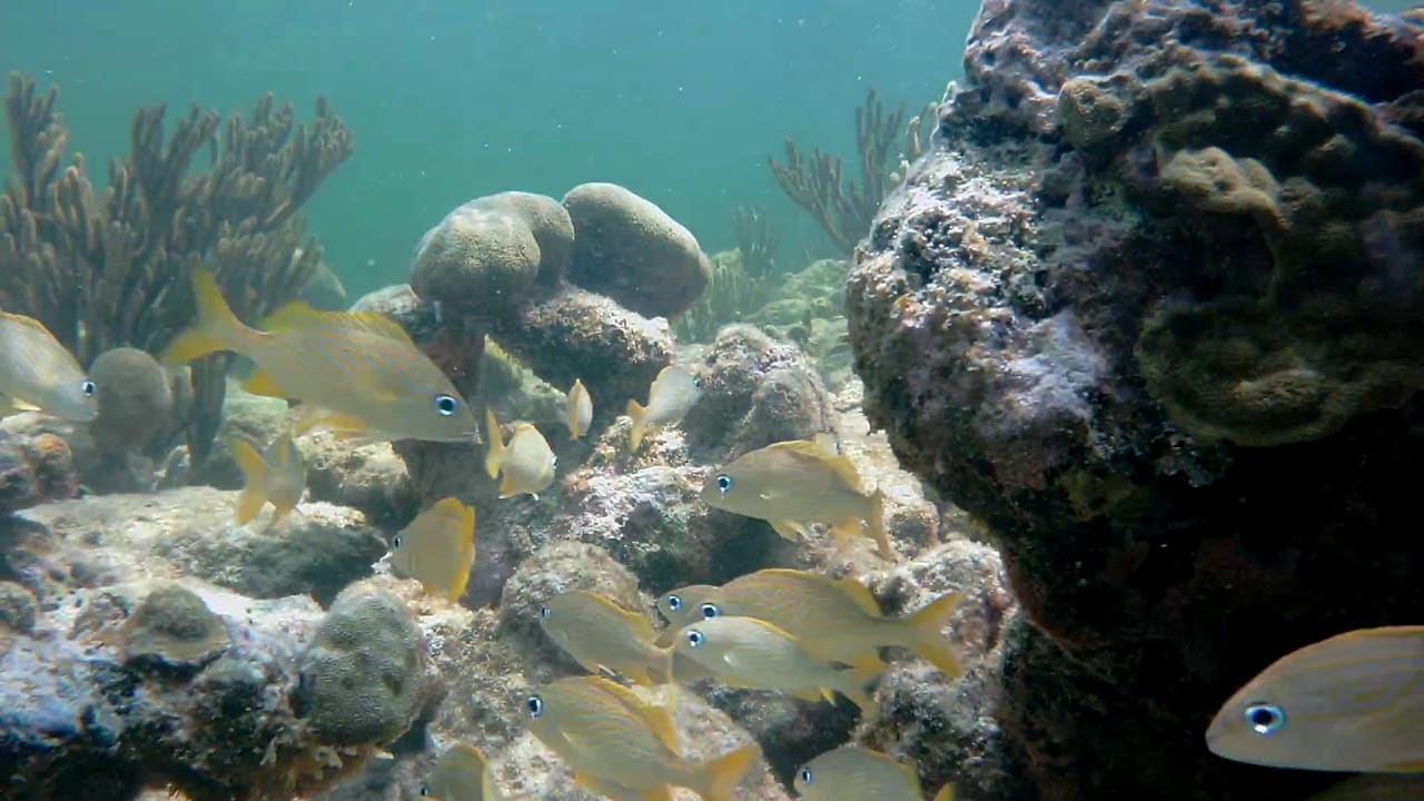 Sport & Freizeit Akumal Bay Beach & Wellness Resort