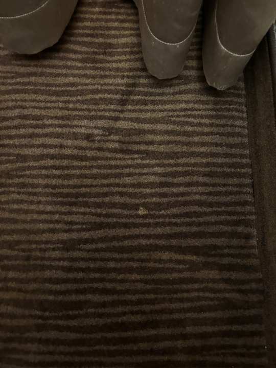 Zimmer The Domicil Hotel Frankfurt City