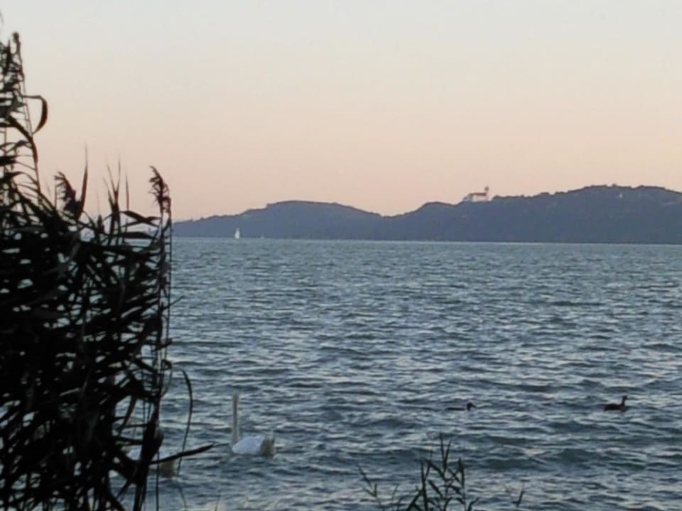 Mein Balaton! Danubius Hotel Annabella