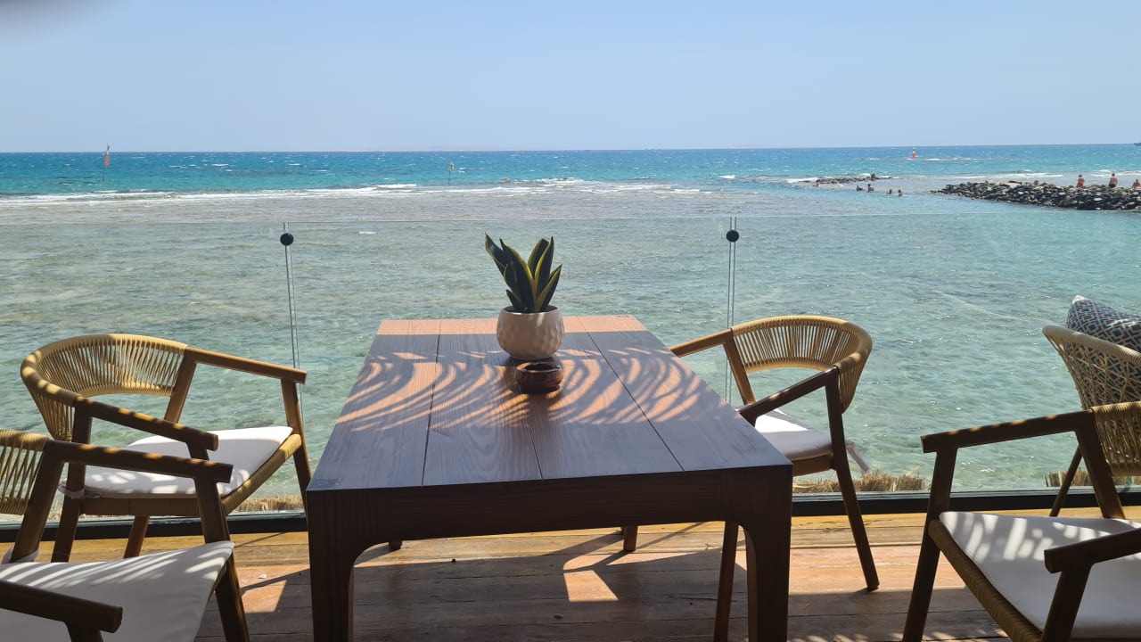 Ausblick Desert Rose