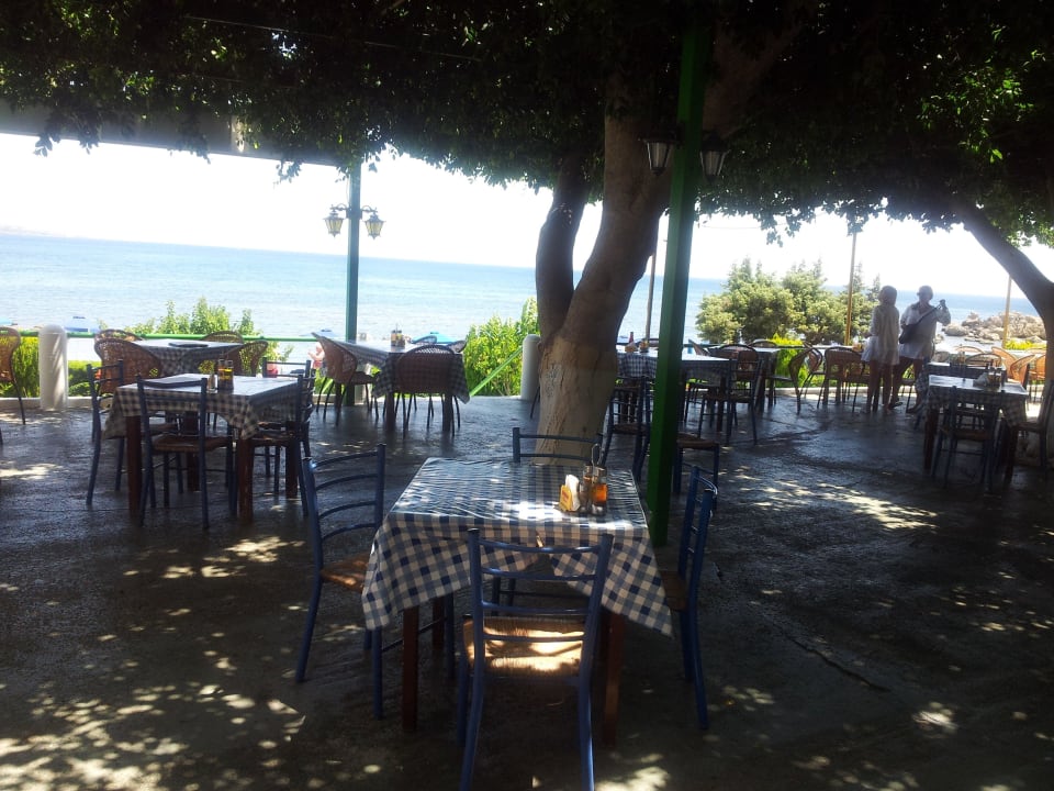 Taverne "Frühstücksraum" Pension Victoria