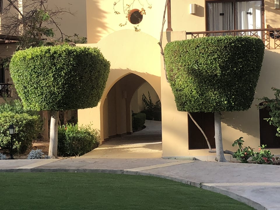 Sonstiges Steigenberger Coraya Beach - Adults only