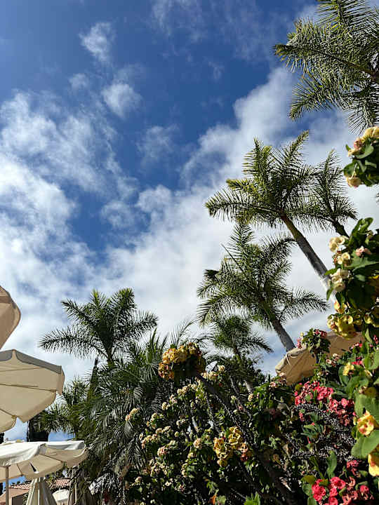 Außenansicht allsun Hotel Esplendido