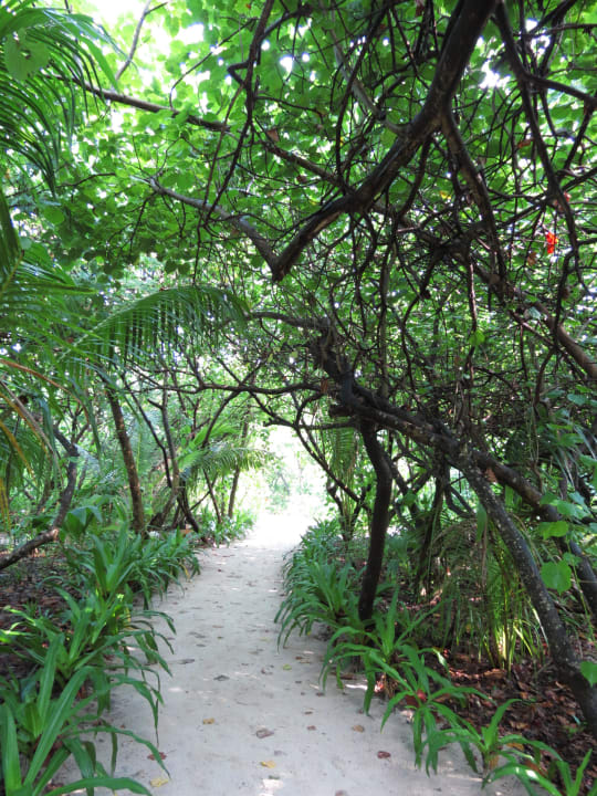 Inselwege NH Collection Maldives Reethi Resort